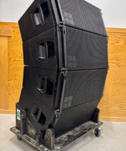D&B V12